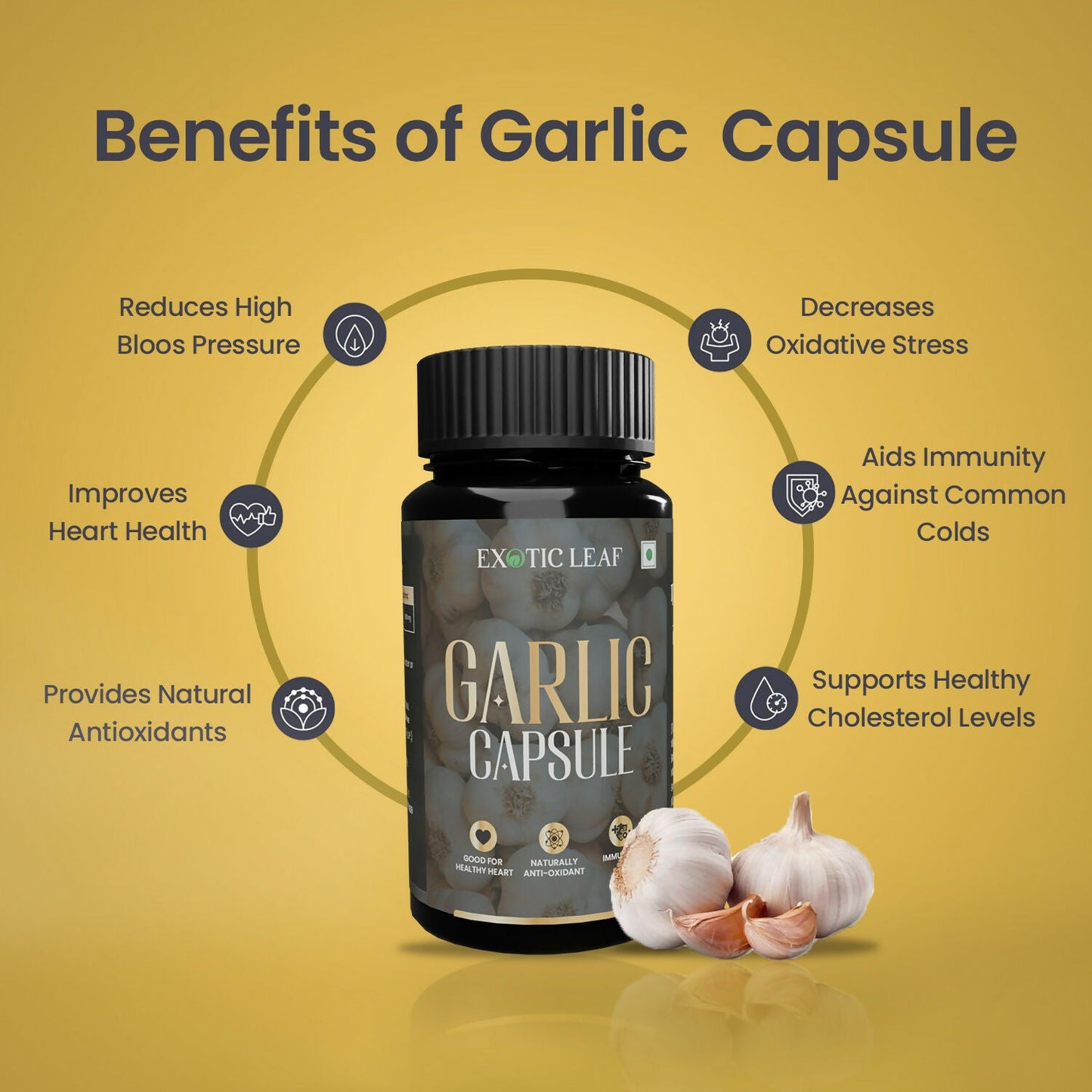 https://cdn.shopify.com/s/files/1/1857/6931/files/swCGVSXTTu.jpg?v=1725084799