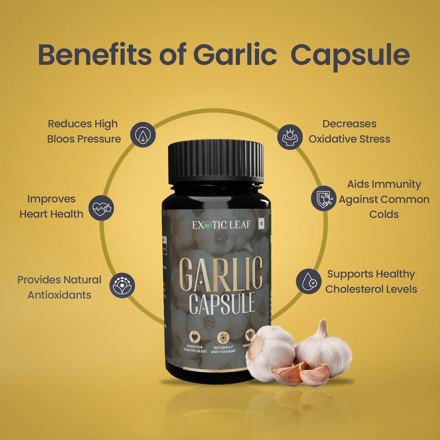https://cdn.shopify.com/s/files/1/1857/6931/files/swCGVSXTTu.jpg?v=1725084799