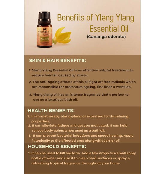 https://cdn.shopify.com/s/files/1/1857/6931/files/sxv9JKhPrM-219249.jpg?v=1736147460