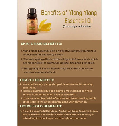 https://cdn.shopify.com/s/files/1/1857/6931/files/sxv9JKhPrM-219249.jpg?v=1736147460