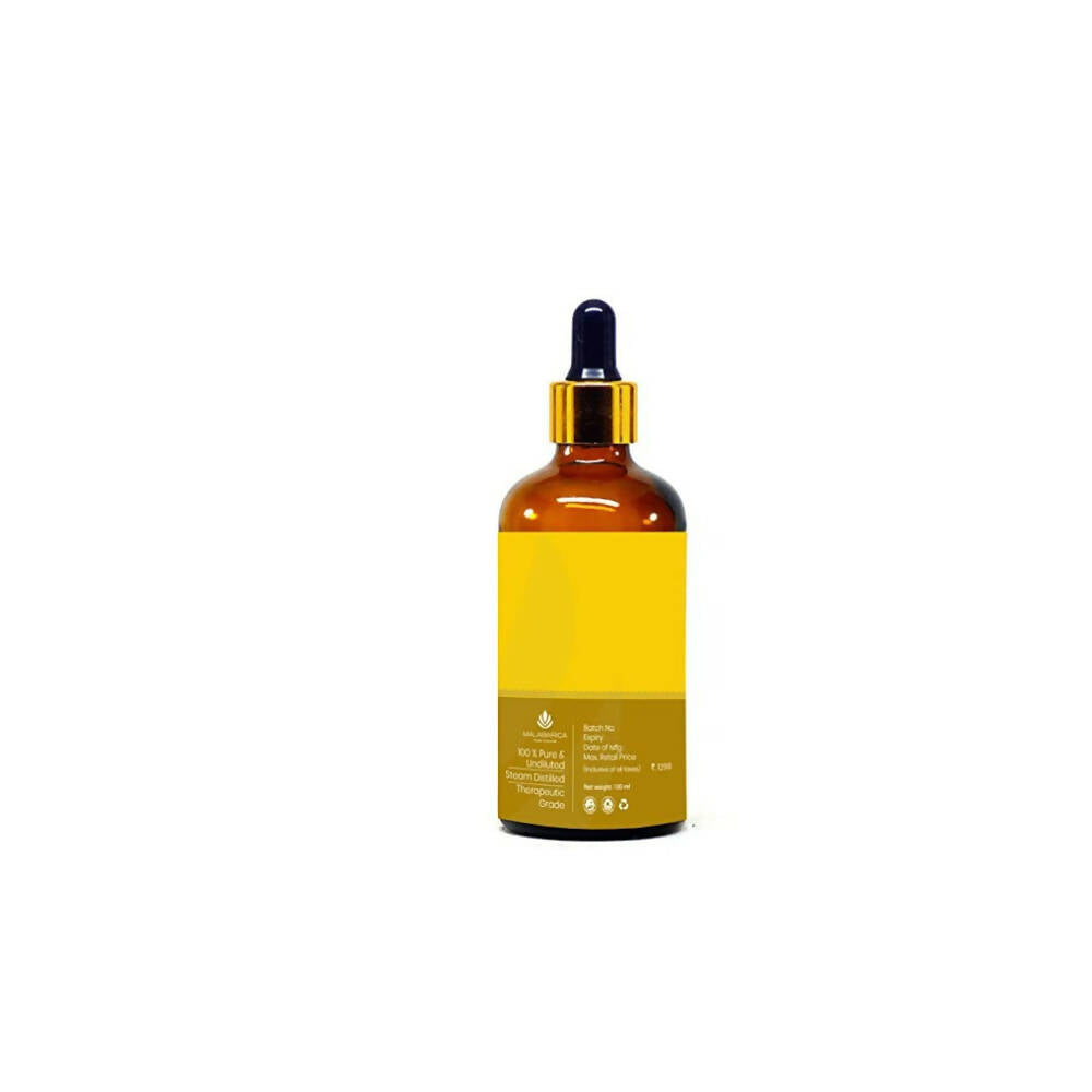 https://cdn.shopify.com/s/files/1/1857/6931/products/szNDTmZ0dM.jpg?v=1667885827