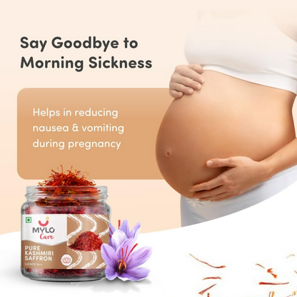 https://cdn.shopify.com/s/files/1/1857/6931/files/szqMulFASv.png?v=1737951613