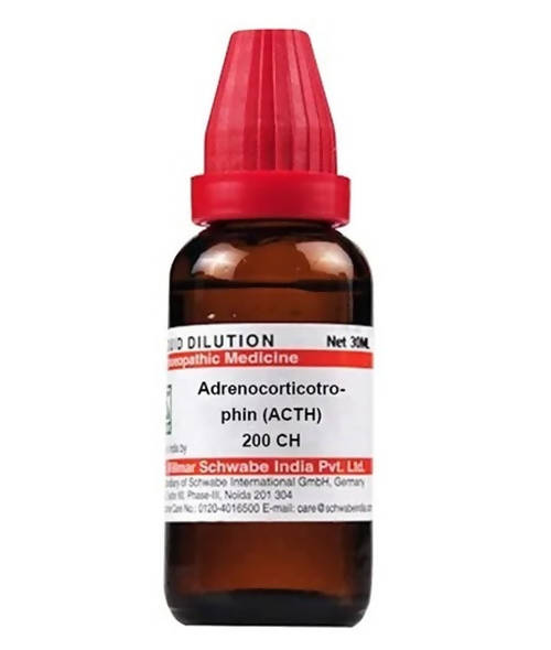 https://cdn.shopify.com/s/files/1/1857/6931/products/t3HaMCXiDC.jpg?v=1641378380