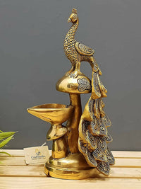 https://cdn.shopify.com/s/files/1/1857/6931/products/t3teXFqSkC.jpg?v=1706533817