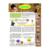 https://cdn.shopify.com/s/files/1/1857/6931/products/t46f6reZ5f.jpg?v=1737558752