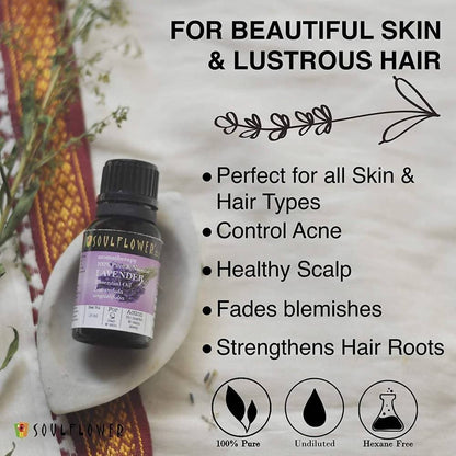 https://cdn.shopify.com/s/files/1/1857/6931/products/t6SUsv0b7a.jpg?v=1614911235