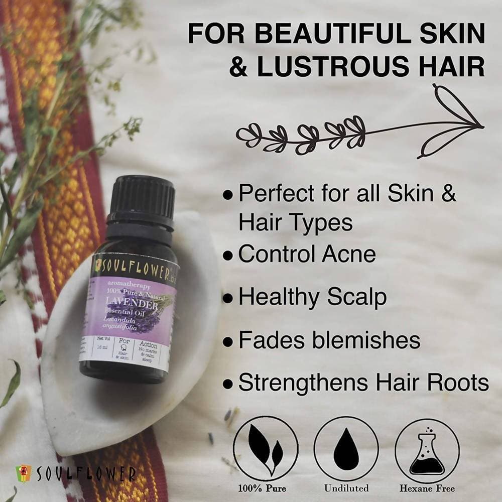 https://cdn.shopify.com/s/files/1/1857/6931/products/t6SUsv0b7a.jpg?v=1614911235