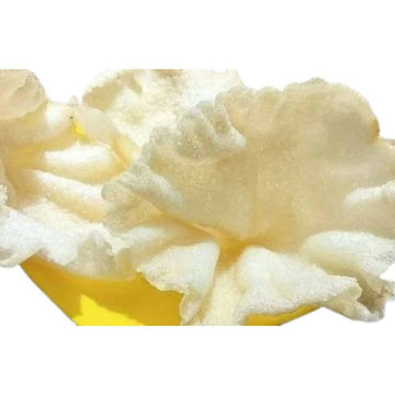 https://cdn.shopify.com/s/files/1/1857/6931/products/t70JUPm8Pt.jpg?v=1706861403