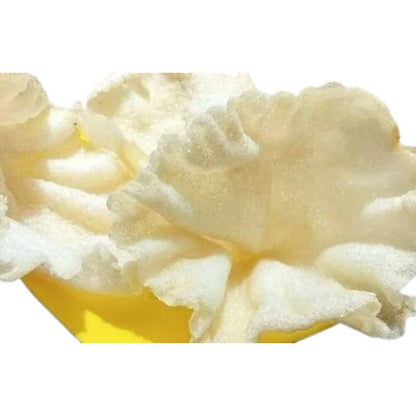 https://cdn.shopify.com/s/files/1/1857/6931/products/t70JUPm8Pt.jpg?v=1706861403