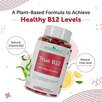 https://cdn.shopify.com/s/files/1/1857/6931/products/t77ZhmfZOb.jpg?v=1697694358