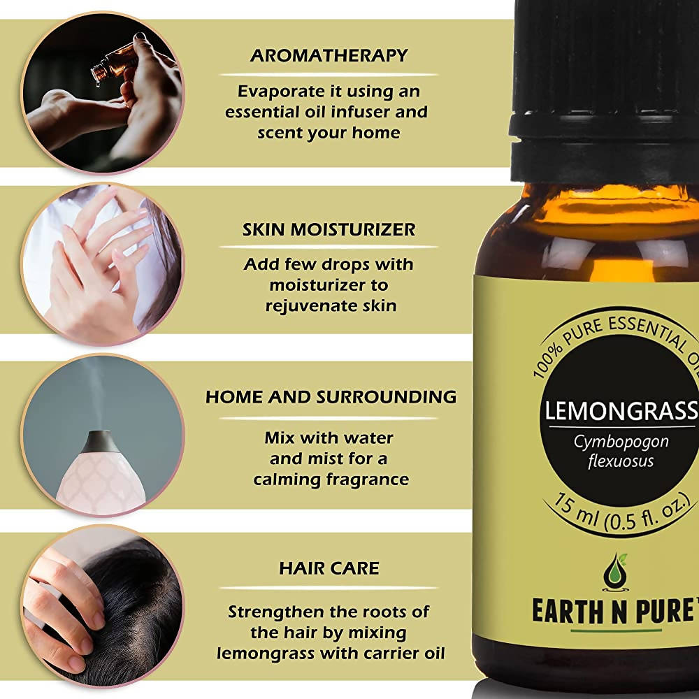 https://cdn.shopify.com/s/files/1/1857/6931/products/t7V9CYCcGL.jpg?v=1646214336