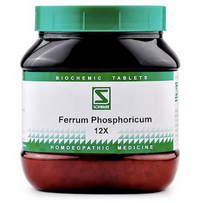 https://cdn.shopify.com/s/files/1/1857/6931/files/t8ciiyi8Lo.png?v=1735543152