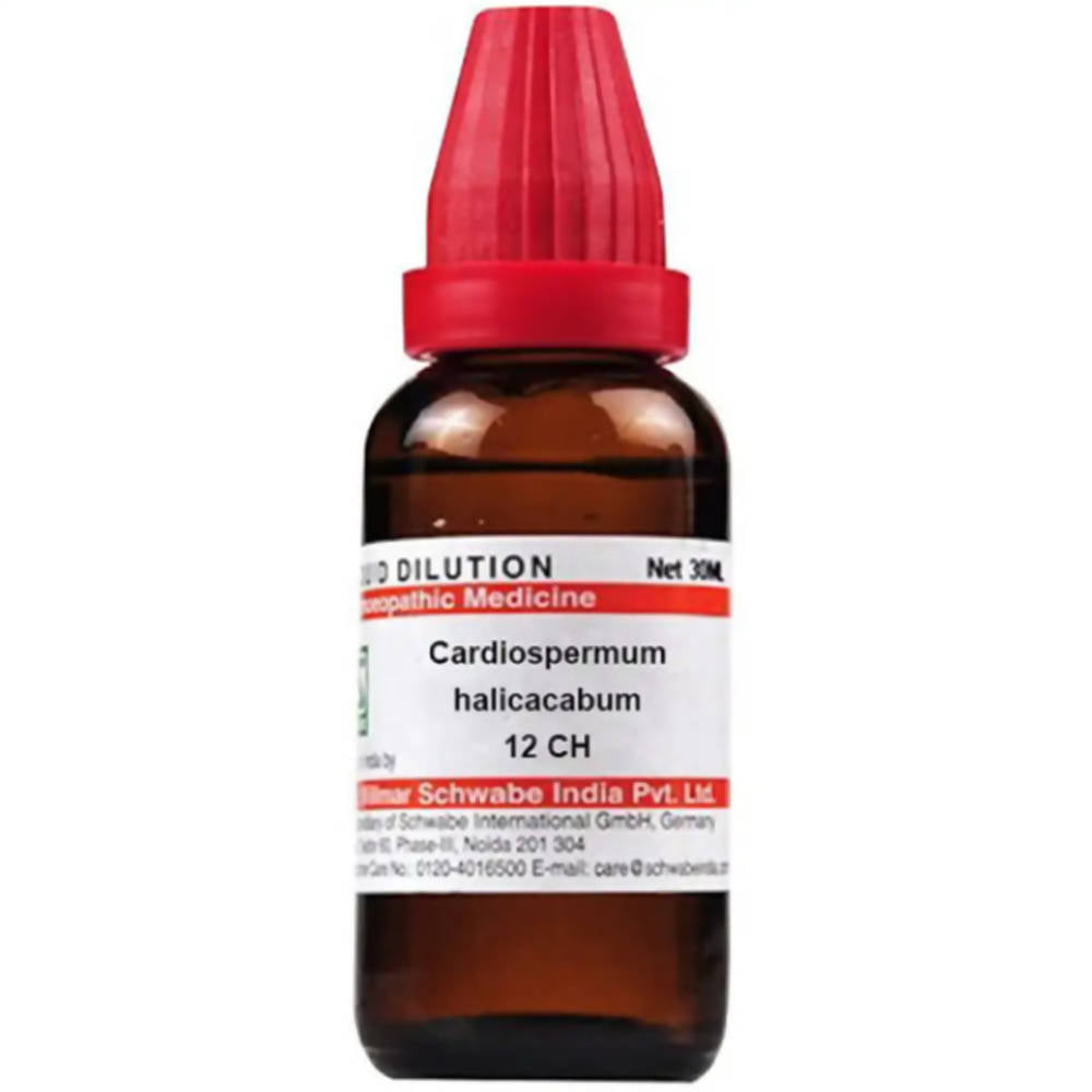 https://cdn.shopify.com/s/files/1/1857/6931/products/tAcARAnWxe.jpg?v=1641451364
