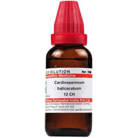 https://cdn.shopify.com/s/files/1/1857/6931/products/tAcARAnWxe.jpg?v=1641451364