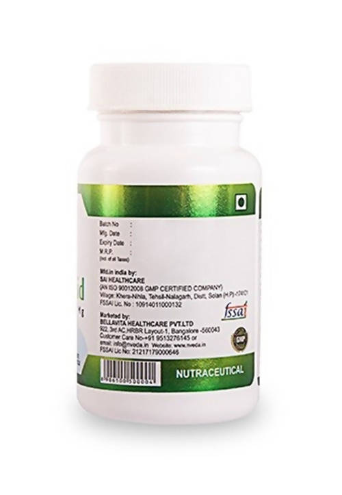 https://cdn.shopify.com/s/files/1/1857/6931/products/tAnamyKWcQ.jpg?v=1639815351