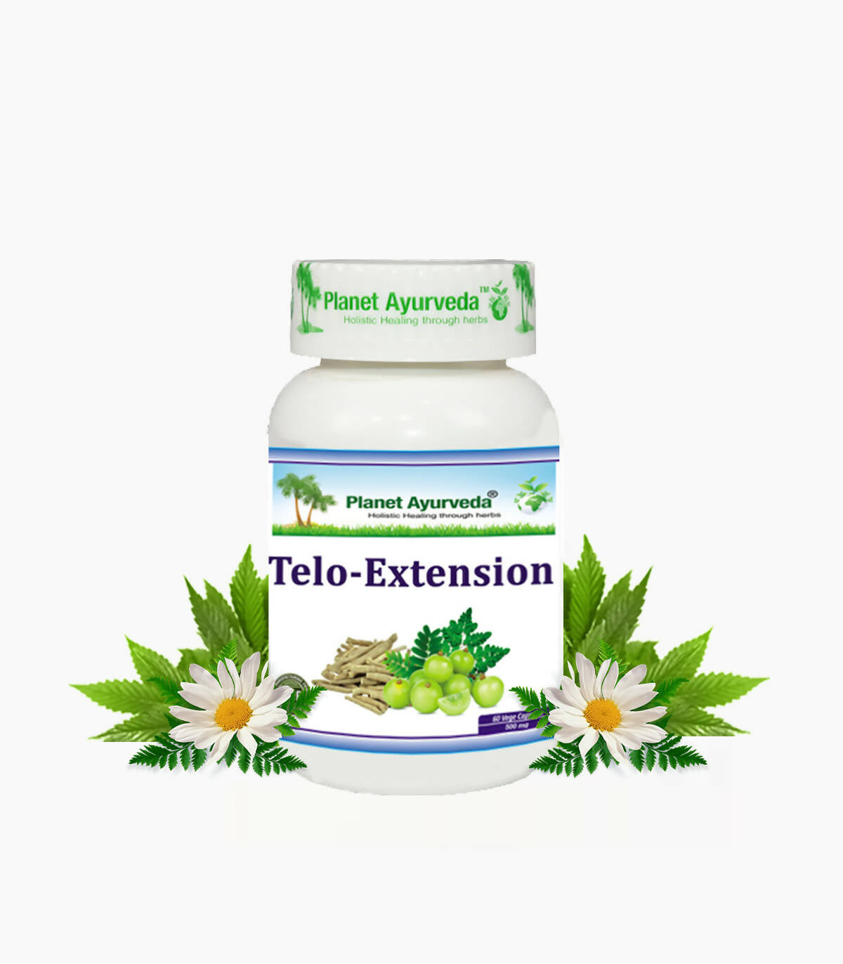 https://cdn.shopify.com/s/files/1/1857/6931/products/tD5MiijzkW.jpg?v=1759355954