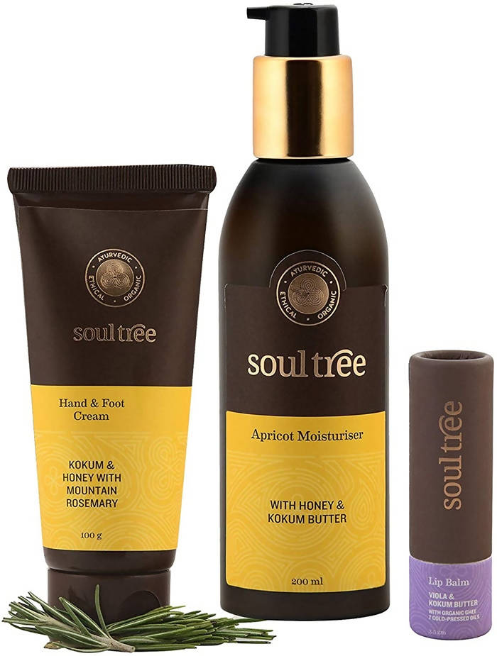 https://cdn.shopify.com/s/files/1/1857/6931/products/tHN5Rs9fFF.jpg?v=1629979726