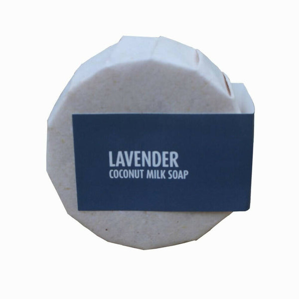 https://cdn.shopify.com/s/files/1/1857/6931/products/tHrbfnGMI8.jpg?v=1663413926
