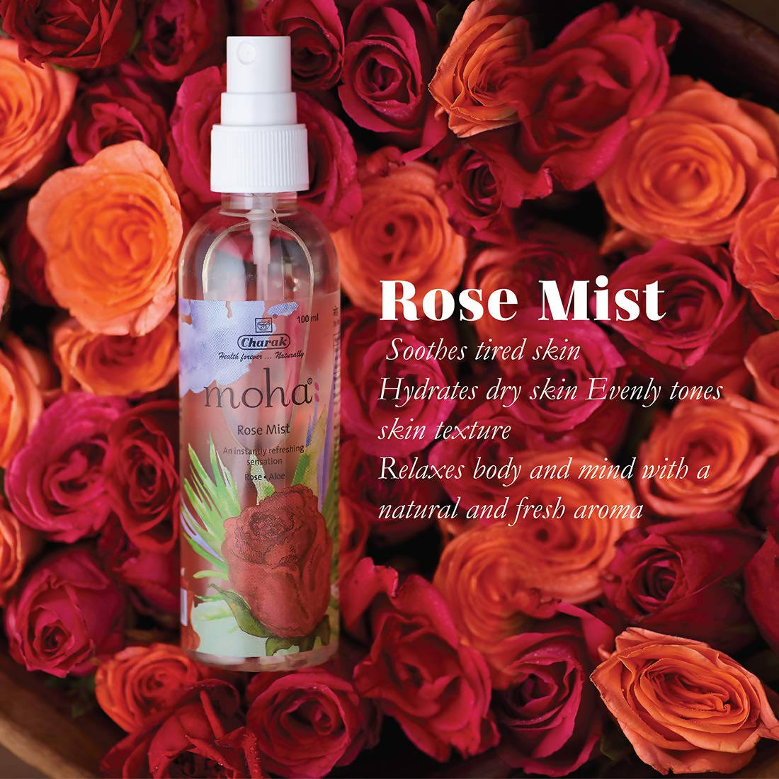 https://cdn.shopify.com/s/files/1/1857/6931/products/tIkrZoJElc.jpg?v=1630672378