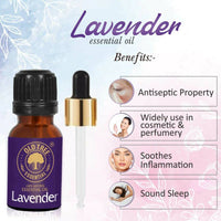 https://cdn.shopify.com/s/files/1/1857/6931/products/tJVGWxM3Ob.jpg?v=1683539266