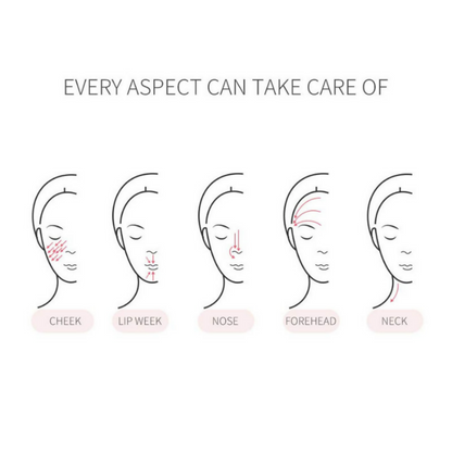 https://cdn.shopify.com/s/files/1/1857/6931/files/tKRog8IfGF.png?v=1785241290
