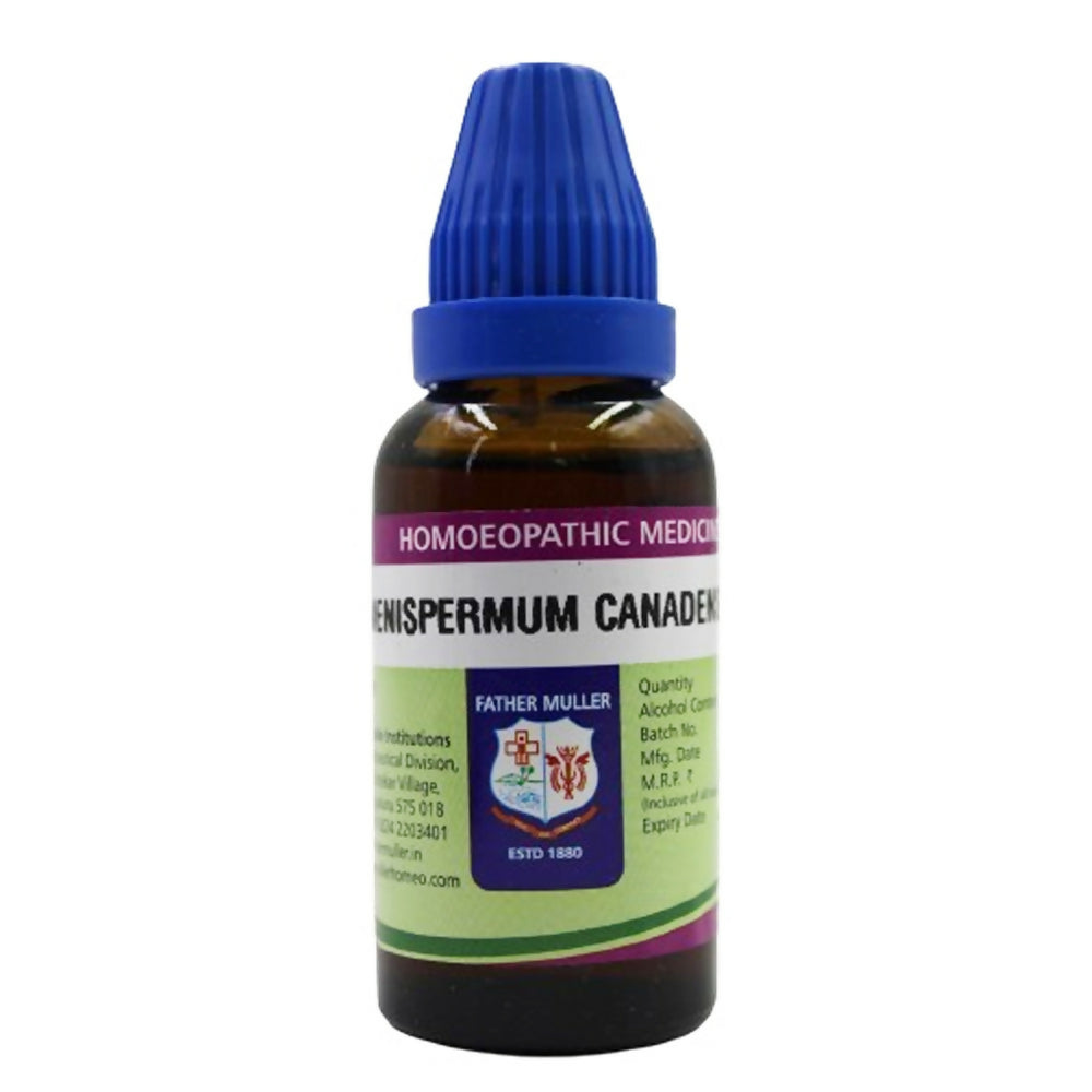 https://cdn.shopify.com/s/files/1/1857/6931/files/tLjwLffqrT.jpg?v=1717141253