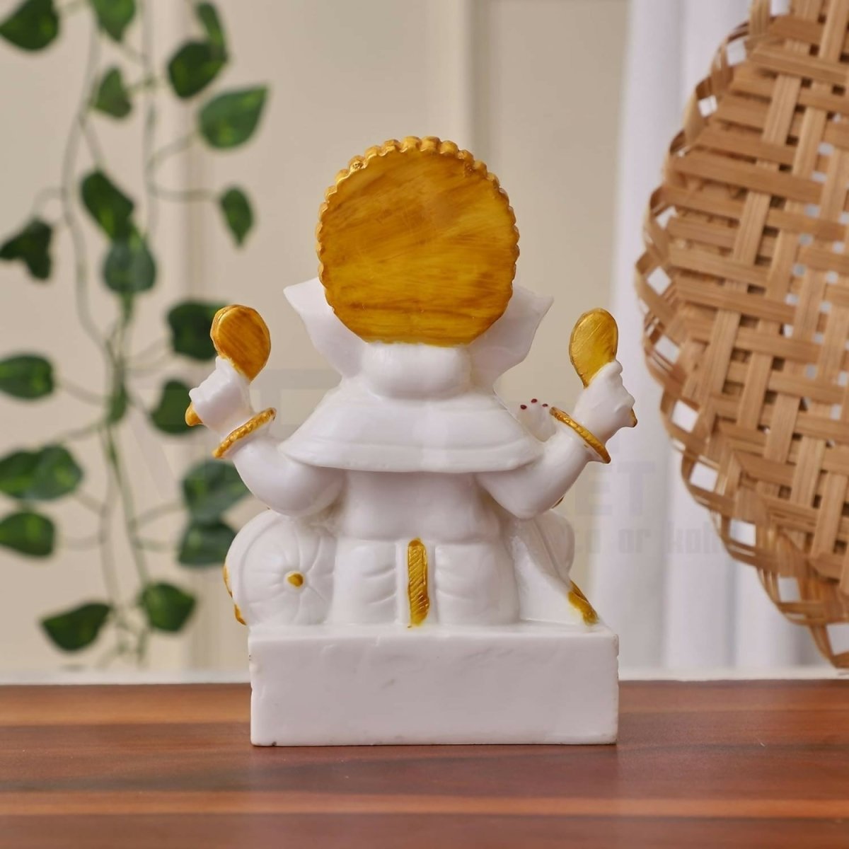 https://cdn.shopify.com/s/files/1/1857/6931/files/tME7n6mYmI-869142.jpg?v=1736148792