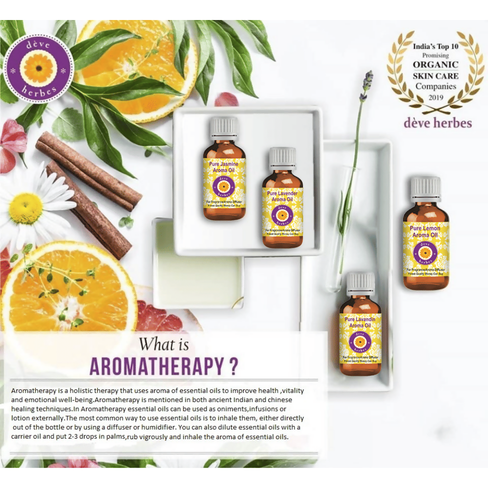 https://cdn.shopify.com/s/files/1/1857/6931/files/tOcItLMvC7.png?v=1745998408