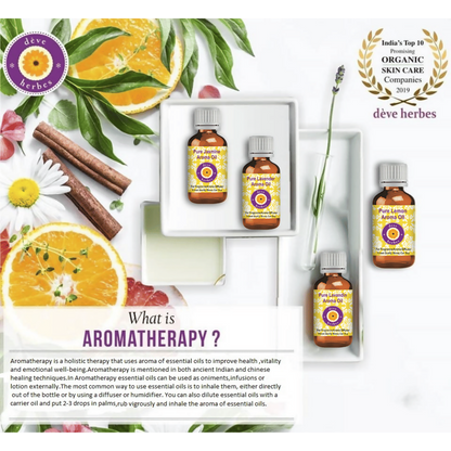 https://cdn.shopify.com/s/files/1/1857/6931/files/tOcItLMvC7.png?v=1745998408