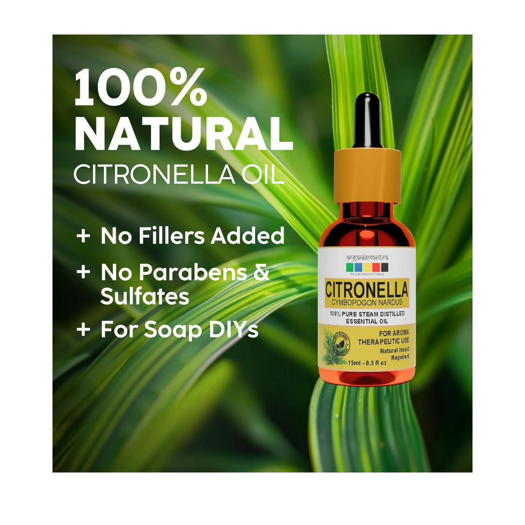 https://cdn.shopify.com/s/files/1/1857/6931/files/tQmfZLY4Cs.png?v=1723122136