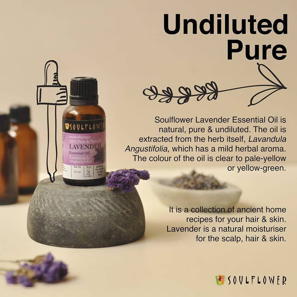 https://cdn.shopify.com/s/files/1/1857/6931/products/tSCz78v3oa.jpg?v=1614911236