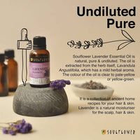 https://cdn.shopify.com/s/files/1/1857/6931/products/tSCz78v3oa.jpg?v=1614911236