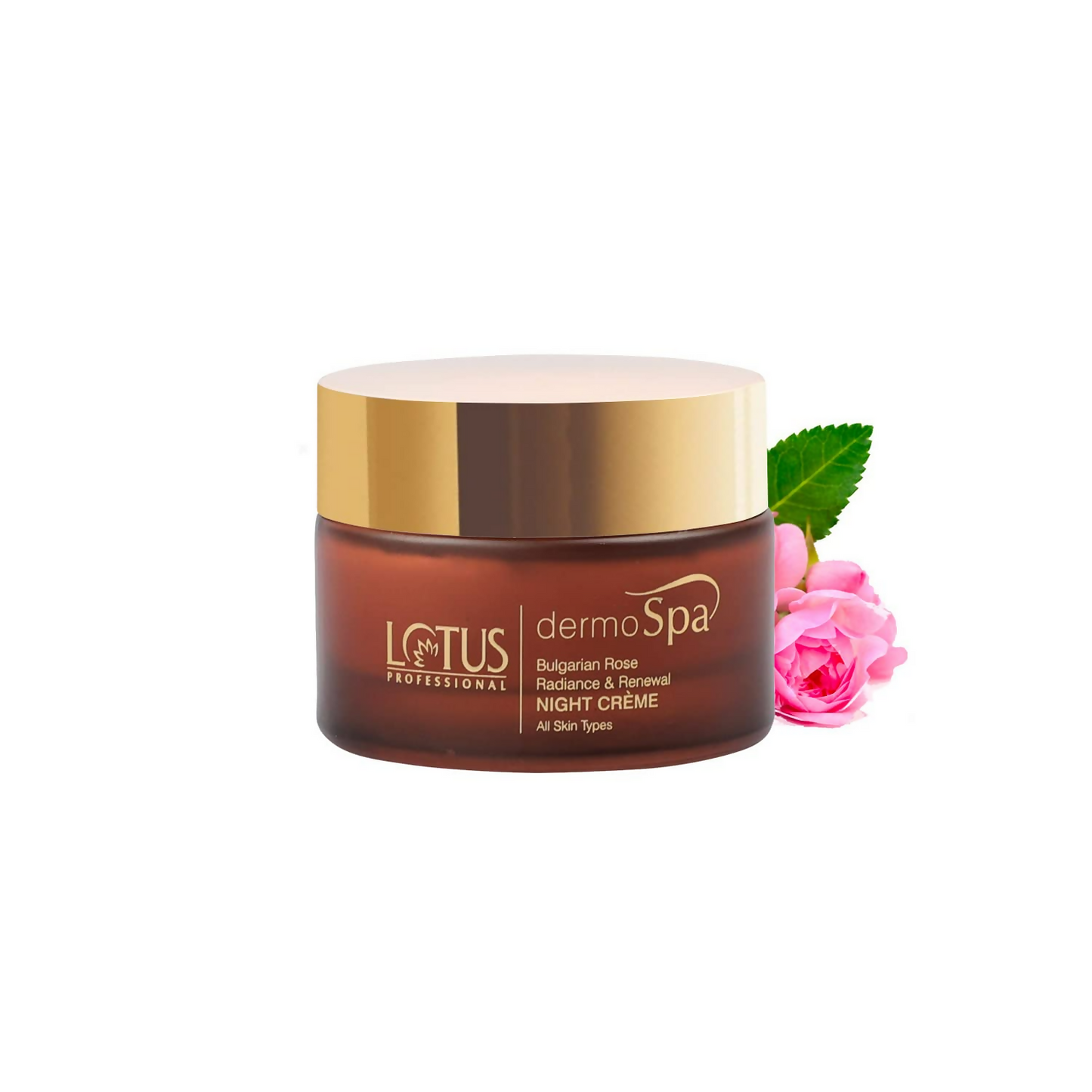 https://cdn.shopify.com/s/files/1/1857/6931/files/tSPyFbvVZ4.png?v=1720515879