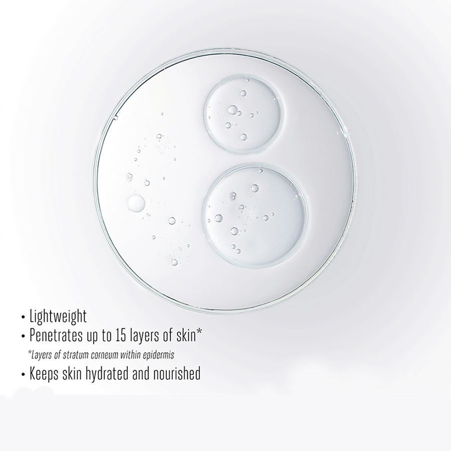 https://cdn.shopify.com/s/files/1/1857/6931/files/tSwWXDwyrj.png?v=1720846982