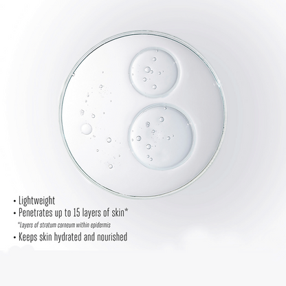 https://cdn.shopify.com/s/files/1/1857/6931/files/tSwWXDwyrj.png?v=1720846982