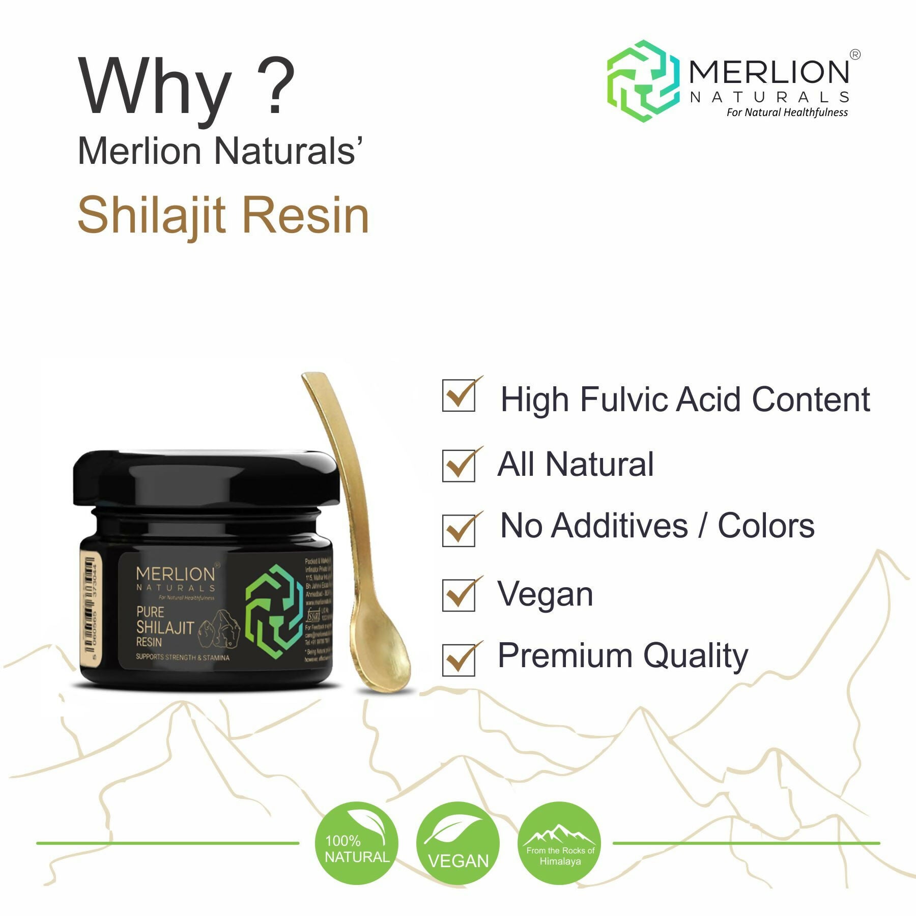 https://cdn.shopify.com/s/files/1/1857/6931/files/tWRZVwvSWe.jpg?v=1741439169