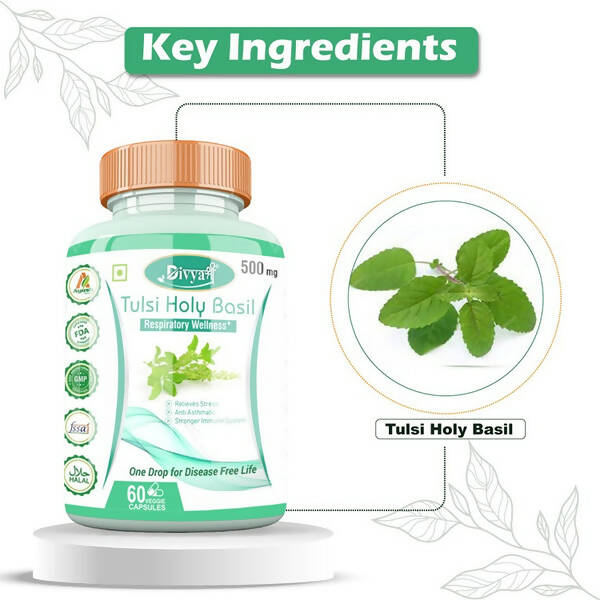 https://cdn.shopify.com/s/files/1/1857/6931/products/tXdDVoAiqN.jpg?v=1672210128