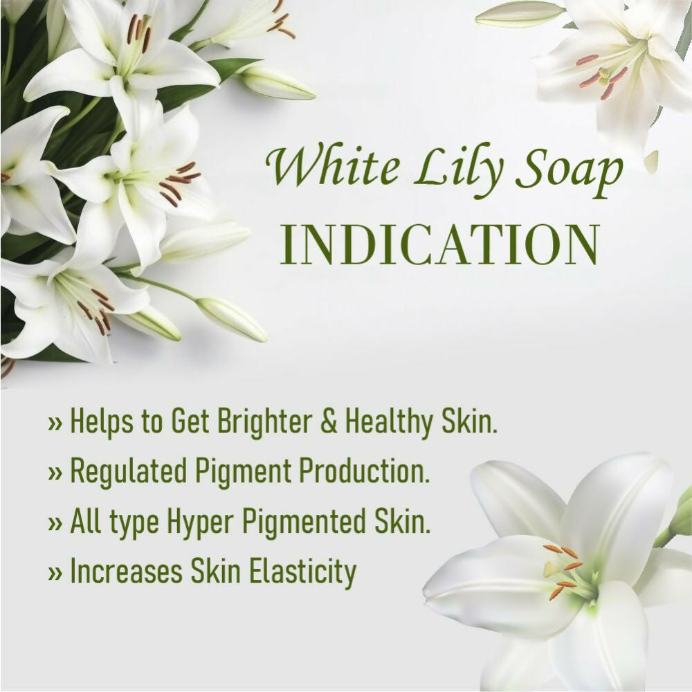 https://cdn.shopify.com/s/files/1/1857/6931/files/tYMUALAZT8.jpg?v=1715003109