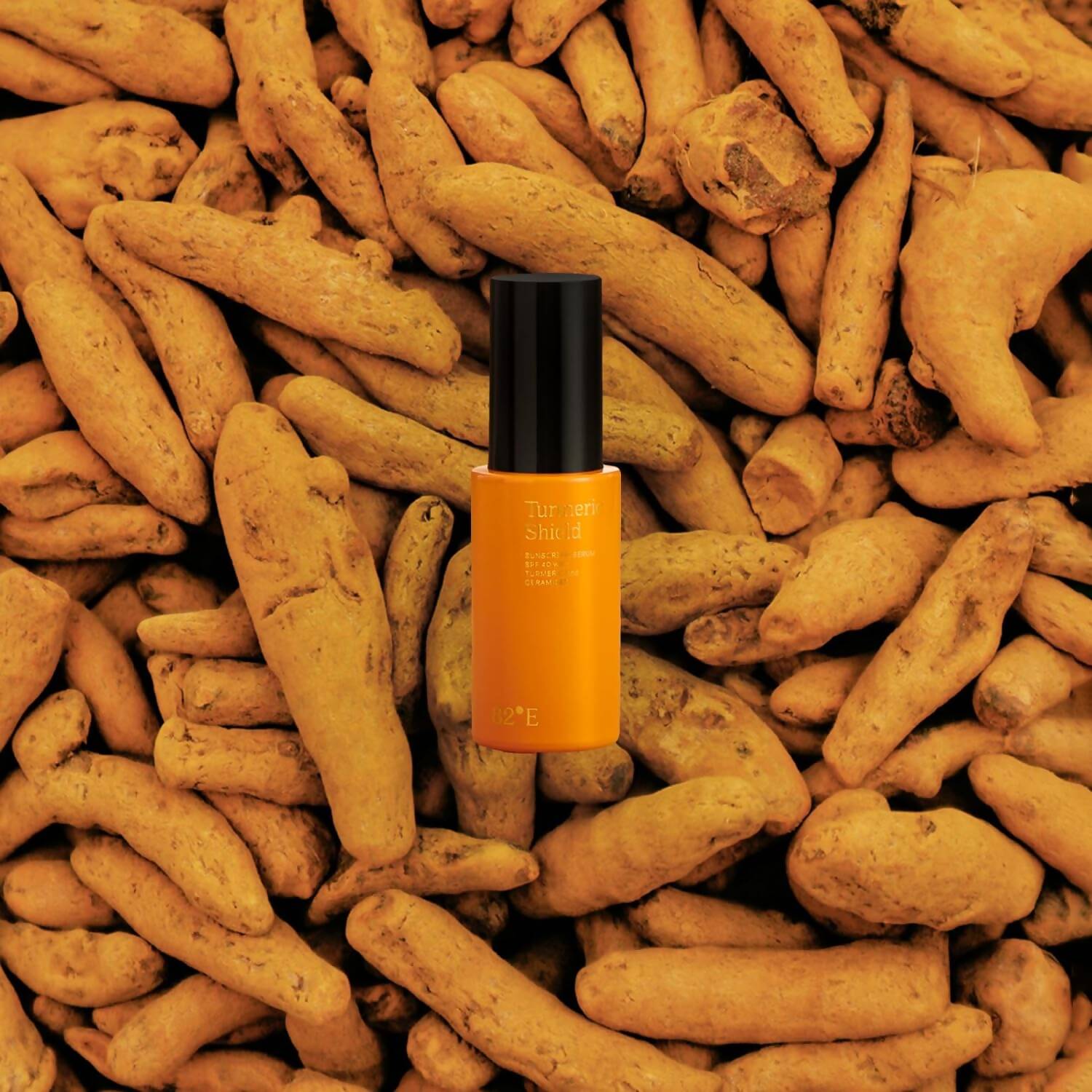 https://cdn.shopify.com/s/files/1/1857/6931/products/tZoBOLLlti.jpg?v=1755083056
