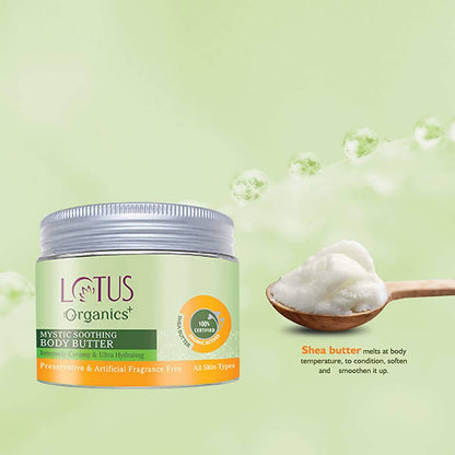 https://cdn.shopify.com/s/files/1/1857/6931/products/tcbd9BQcBA.jpg?v=1648460526