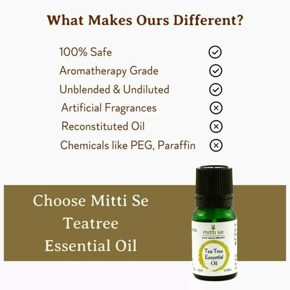 https://cdn.shopify.com/s/files/1/1857/6931/products/tcbrqRHPX6.jpg?v=1670583415