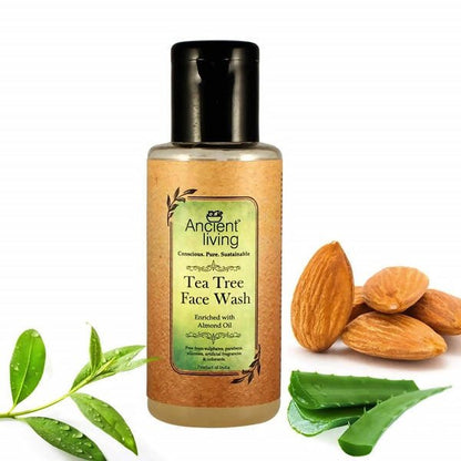 https://cdn.shopify.com/s/files/1/1857/6931/files/tcgcA6xFfF-450691.jpg?v=1736147461