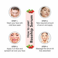 https://cdn.shopify.com/s/files/1/1857/6931/files/tcioGKYsuU.jpg?v=1731583011
