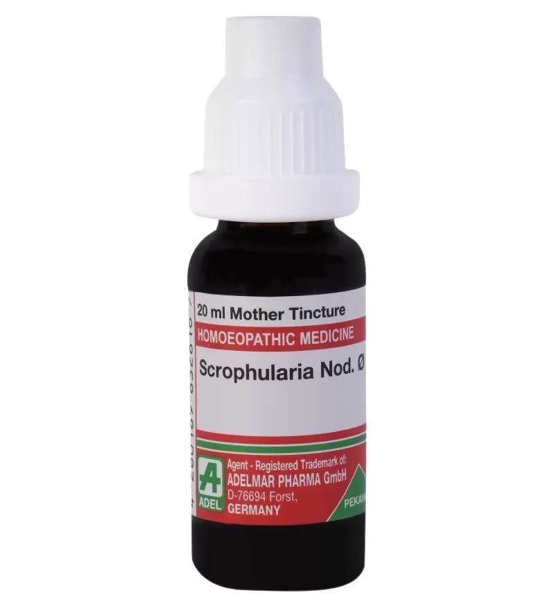 https://cdn.shopify.com/s/files/1/1857/6931/files/tdKkjchEa2-761721.jpg?v=1759313181