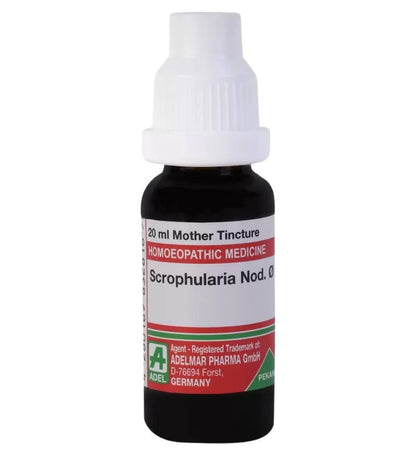 https://cdn.shopify.com/s/files/1/1857/6931/files/tdKkjchEa2-761721.jpg?v=1759313181