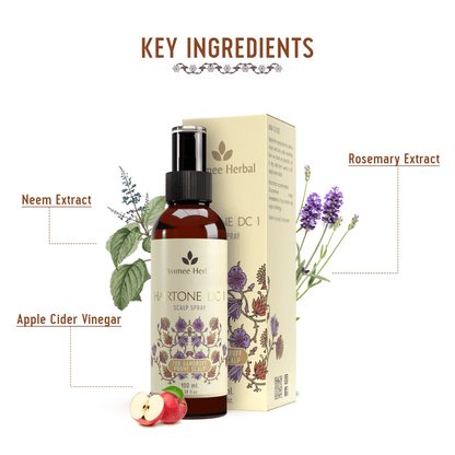 https://cdn.shopify.com/s/files/1/1857/6931/files/teAHGSvzsO-456151.png?v=1736150412