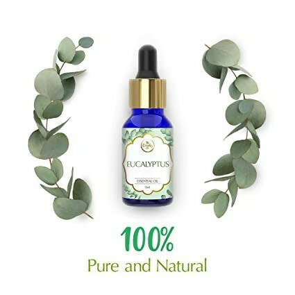 https://cdn.shopify.com/s/files/1/1857/6931/products/tejIeBHh5P.jpg?v=1662111604