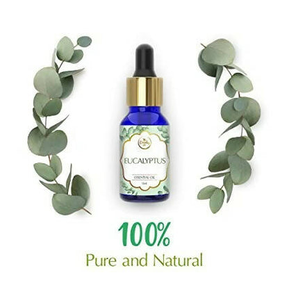 https://cdn.shopify.com/s/files/1/1857/6931/products/tejIeBHh5P.jpg?v=1662111604