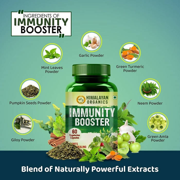 https://cdn.shopify.com/s/files/1/1857/6931/products/tepxKaoJS1.jpg?v=1663913531