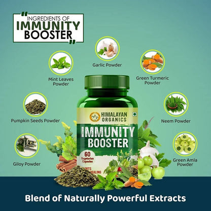 https://cdn.shopify.com/s/files/1/1857/6931/products/tepxKaoJS1.jpg?v=1663913531
